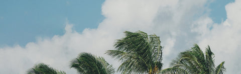 Women's Summer Travel